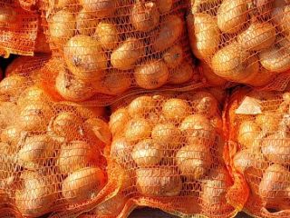 Sprzedam cebulę białą pakowaną w worki po 5, 10,