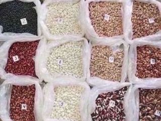 Ukraińska firma Beans Natur Product specjalizuje się w uprawie