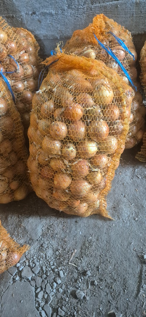 Sprzedam cebule Worek 15 kg możliwość sprzedaży na Luz