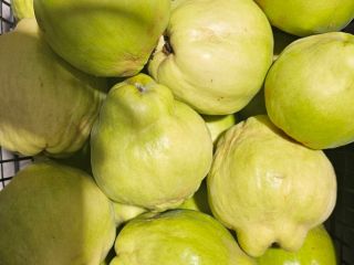 OWOCE, KTÓRE PRZYJMUJĄ ZDROWIE JESIEŃ, PEŁNE WITAMIN I SMAKÓW,