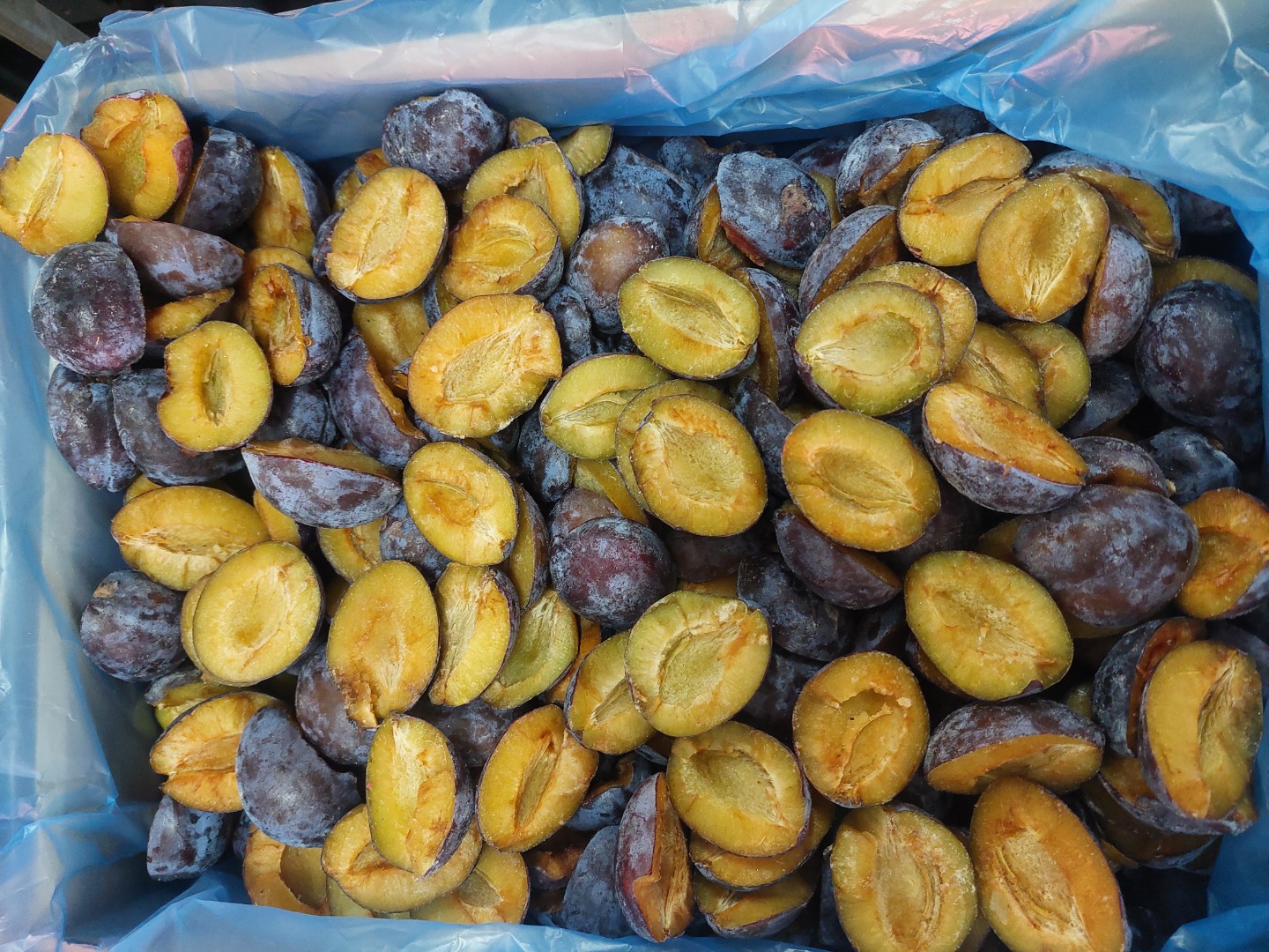 Iqf plums hand cut Stanley variety Crop 2024 Origin:Bosnia Available: 60 tons Loading :prompt Price:negotiable