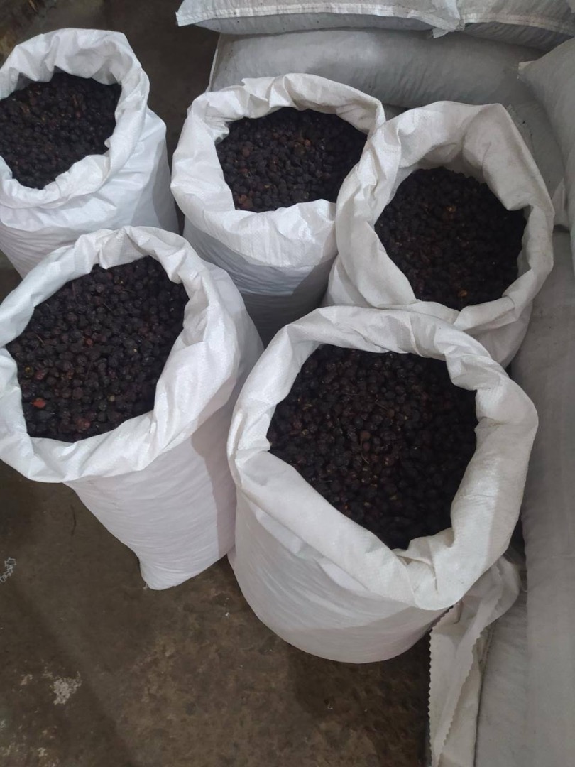 Przedstawiamy naszą suszoną Rosa Canina (owoc dzikiej róży) „Globe”: Mamy 400 ton dostępnych w Odessie, gotowych do wysyłki