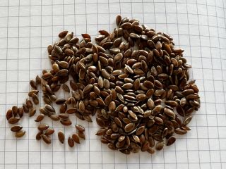 Nasza firma Ingran może obecnie zaoferować nasiona lnu o