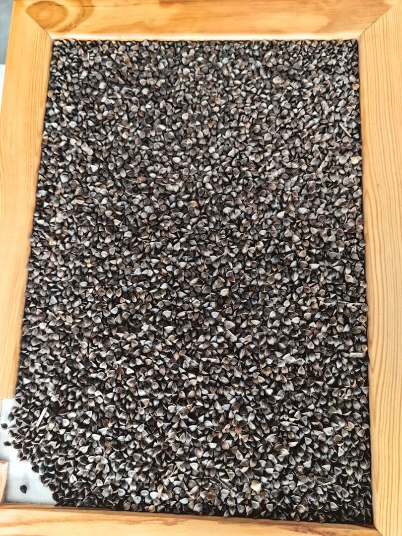 Gryka suszona, przesiana Wilgotność: 13,2% Zanieczyszczenie: 3% Cena: 1540 zł za 1 tonę (430 EUR) (worki po 50 kg) Podana cena za 1 tonę Gryka dostępna na