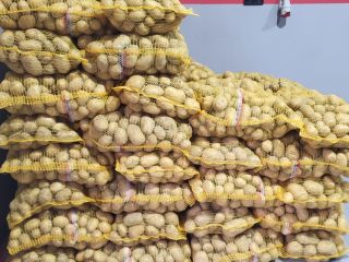 Sprzedam denara. Pakowany w worki po 15kg. Do sprzedania
