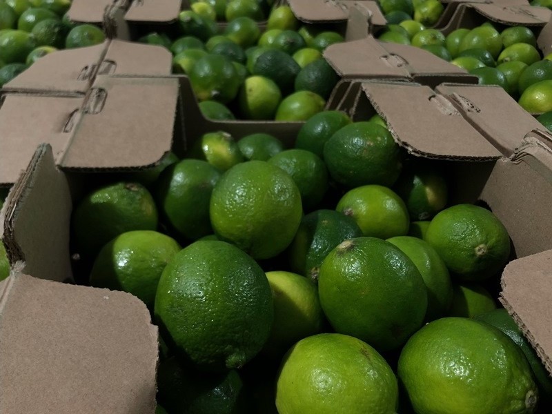 Sprzedam LIMONKE ZIELONA