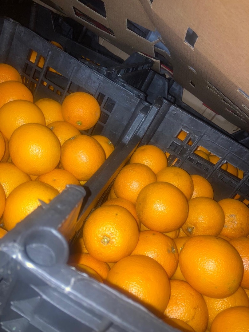 VALENCIA ORANGE Pochodzenie: Egipt Jakość: 1B Kaliber: 100 Opakowanie: luzem Format: Plastik 15kg Certyfikaty: Global GAP **CENA WYJAZDU (EXW)** 0,78 €/KG