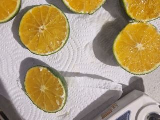 SATSUMA IWASAKI MANDARYN Pochodzenie: Hiszpania Jakość: 1B - Pole