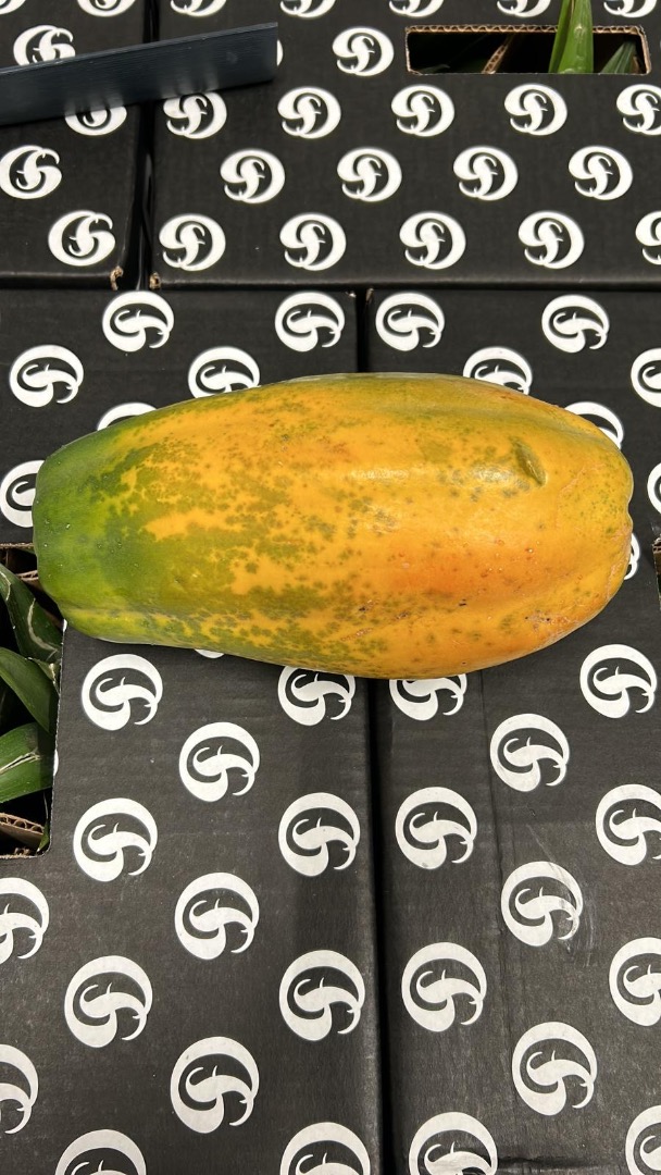 PAPAYA - SAMOLOTEM Pochodzenie: Kolumbia Jakość: Premium Kaliber: 3/4 Opakowanie: Pudełko Format: 4,5 kg Karton Certyfikaty: Global GAP i ECO **CENA WYJAZDU