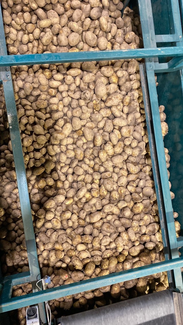 ZIEMNIAKI DO smażenia Pochodzenie: Hiszpania Jakość: 1B Kaliber: +45 Opakowanie: luzem Format: Big Bag Certyfikaty: —X— **CENA WYJŚCIOWA (EXW)** 0,55 €/kg —