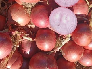 FIOLETOWA CEBULA Pochodzenie: Maroko Jakość: CAT I Kaliber: +40
