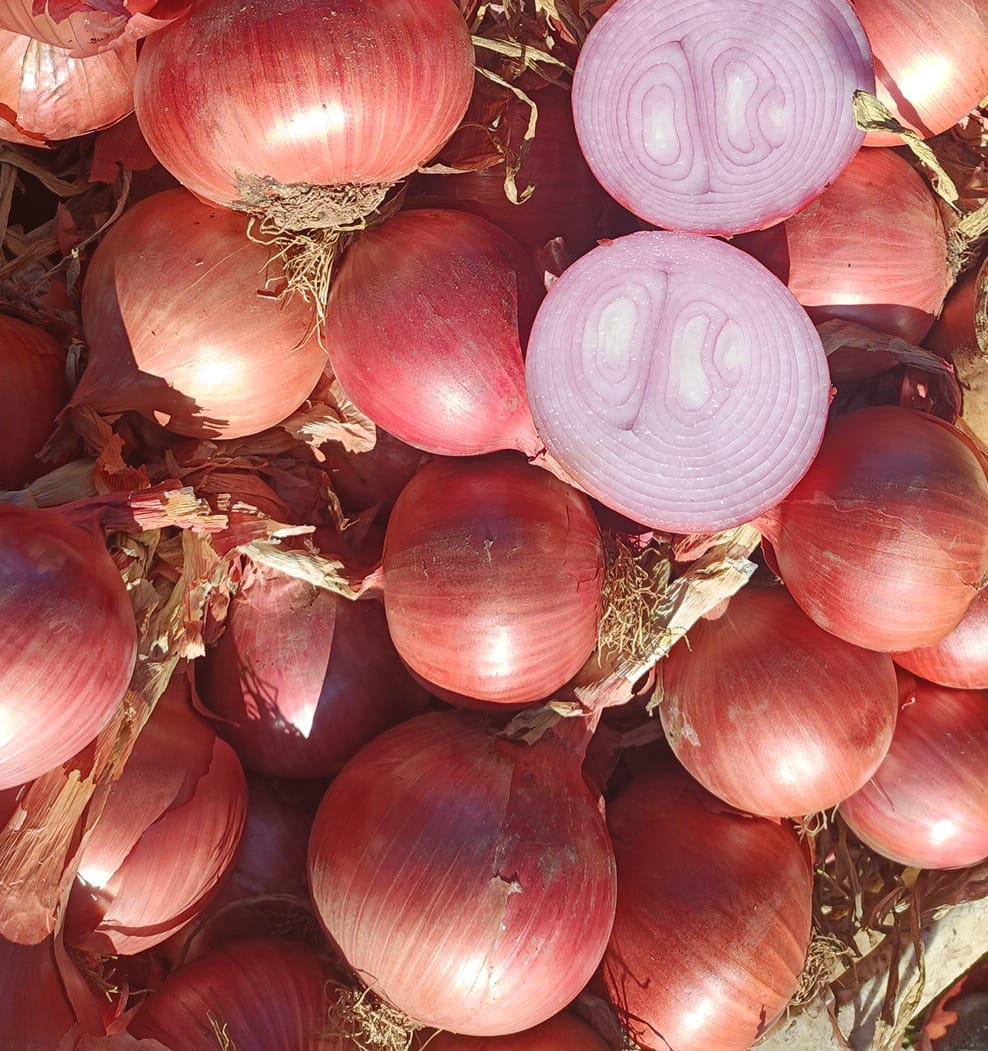 FIOLETOWA CEBULA Pochodzenie: Maroko Jakość: CAT I Kaliber: +40 Opakowanie: luzem Format: Big Bag - Jumbos Certyfikaty: —X— **CENA WYJŚCIOWA (EXW)** 0,48 €/kg