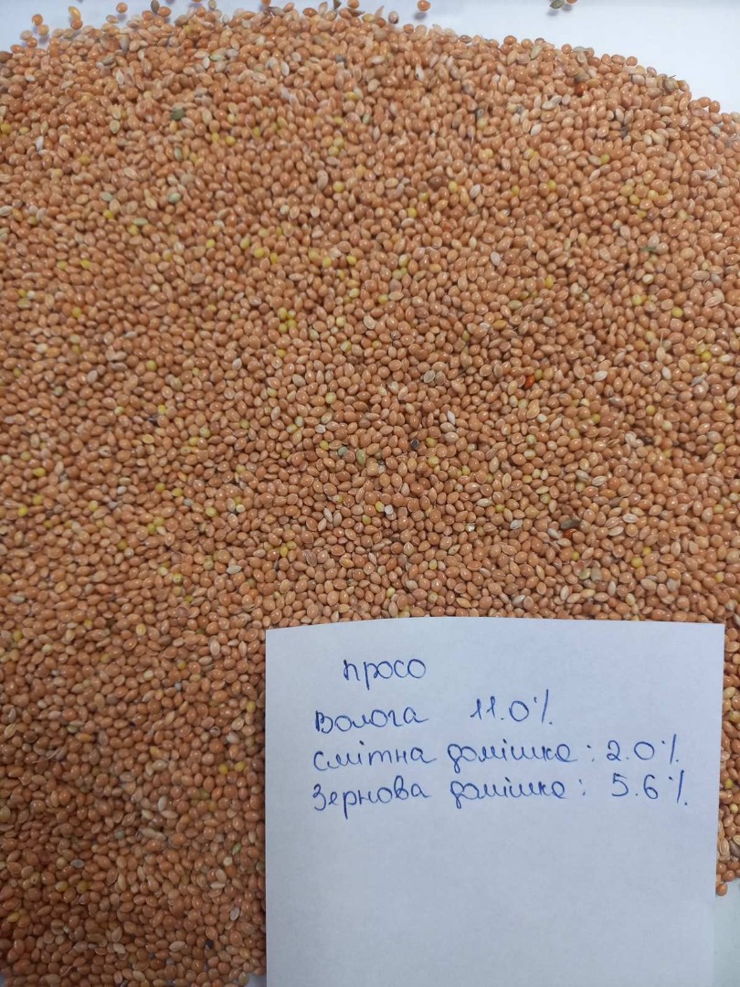 Sprzedam proso żółte/czerwone/białe/czarne DAP