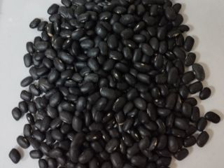 Fasola czarna 900 ton 460-480 sztuk na 100 gram
