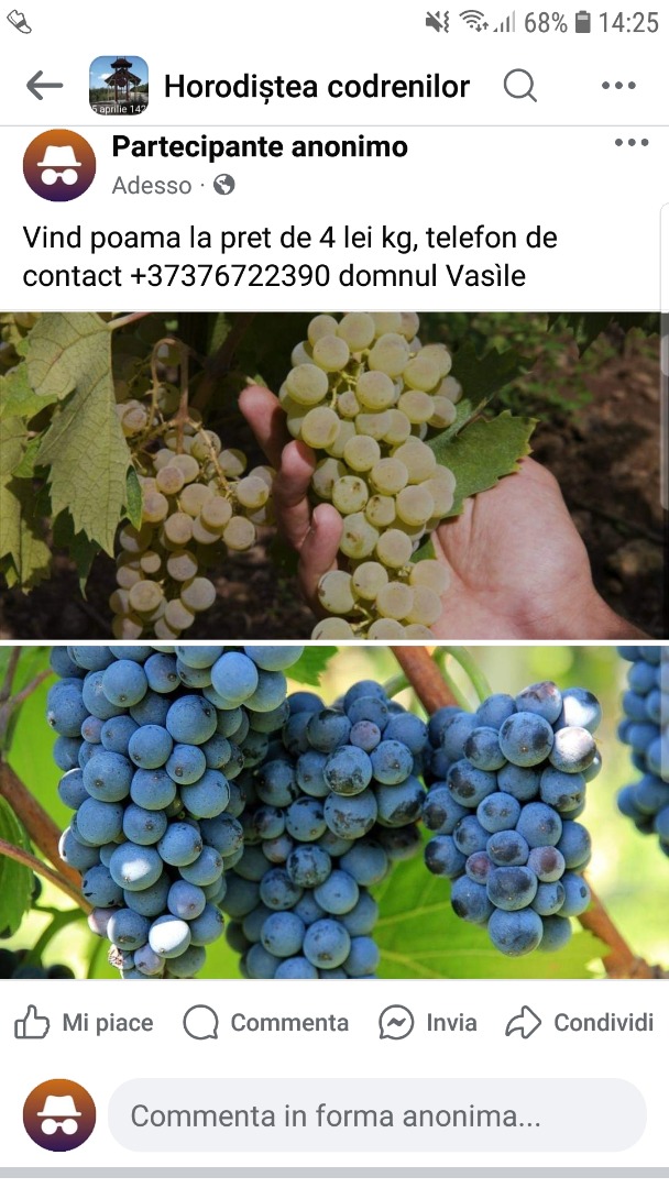 Sprzedam jabłka czarne i białe