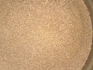 EINKORN, CERTYFIKAT BIO