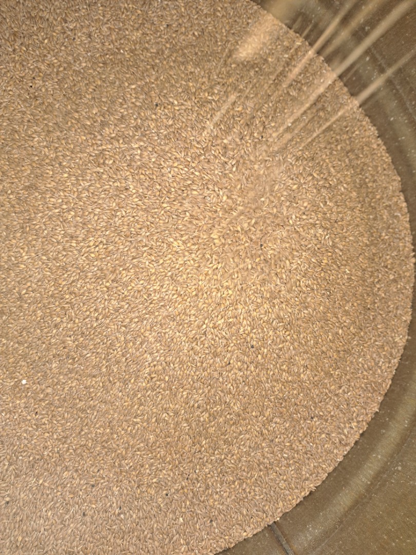 EINKORN, CERTYFIKAT BIO