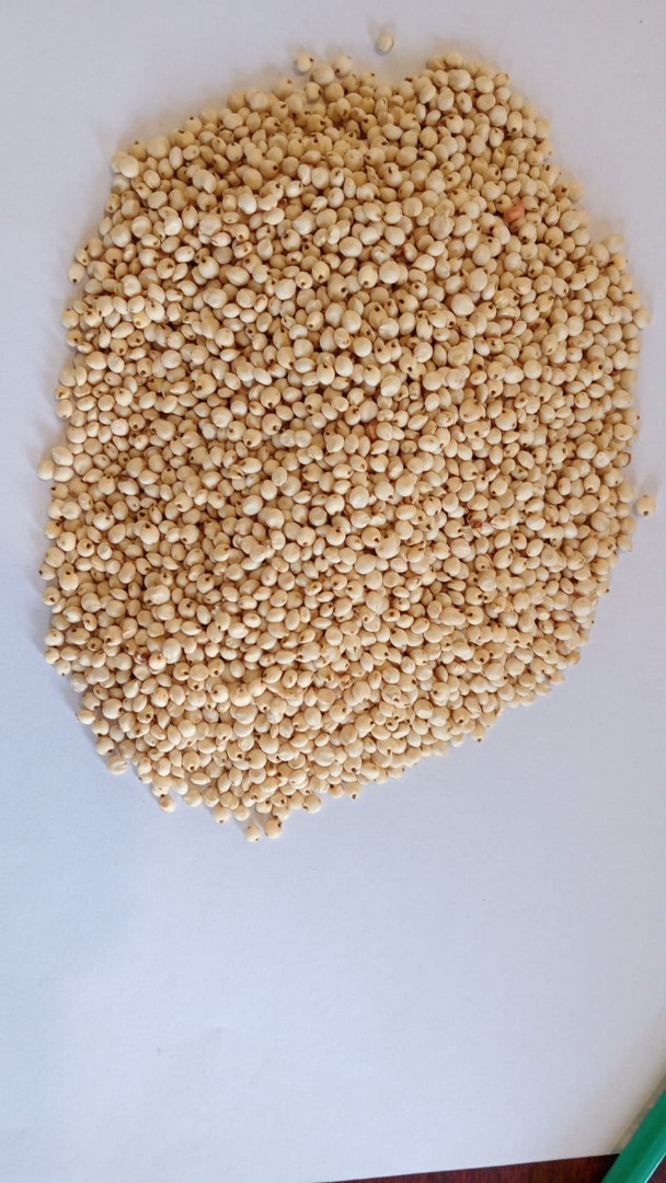 Sprzedam sorgo białe