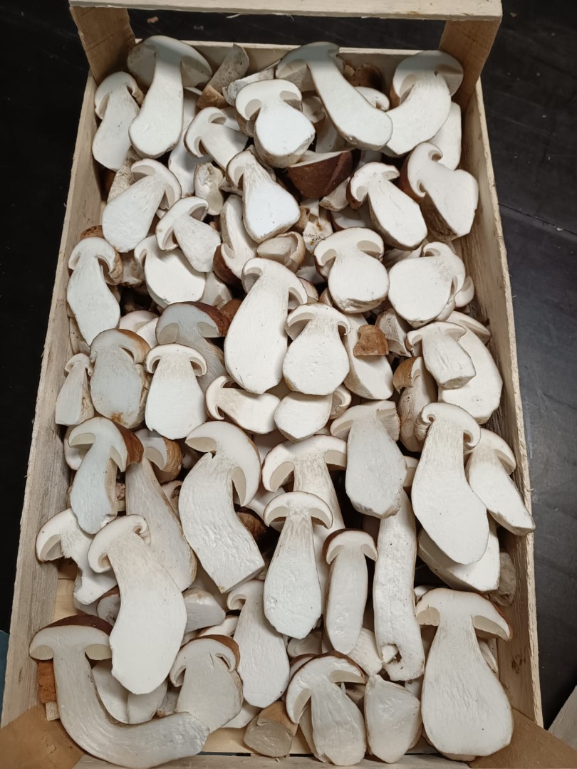 Świeże borowiki (boletus edulis)