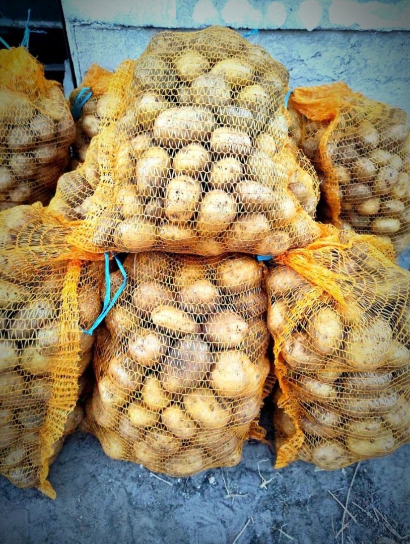 Sprzedam ziemniaki sortowane Denar pakowane w worki 15kg cena 2zł/kg Od 100kg cena 1,80zł/kg Ziemniaki z własnej uprawy bez sztucznych nawozów