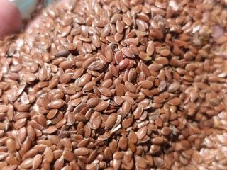 Sprzedam len brąnzowy pochodzenia Kazachstan w cenie 2450zl/t netto
