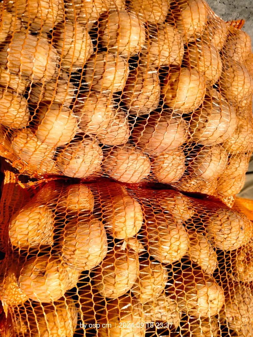 Sprzedam 3 odmiany ziemniaka jadalnego - Wineta 2.5zł 1kg - Michalina 2.5zł 1kg - Red Cardinal w środku żółte/3zł/1kg Pakowane w worki 15kg 10kg 5kg