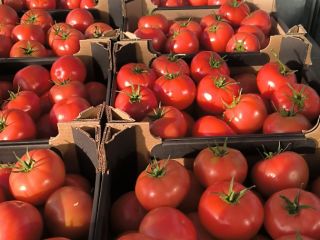 Nawiąże współpracę z sklepami / cateringami, hurtowniami na dostawę