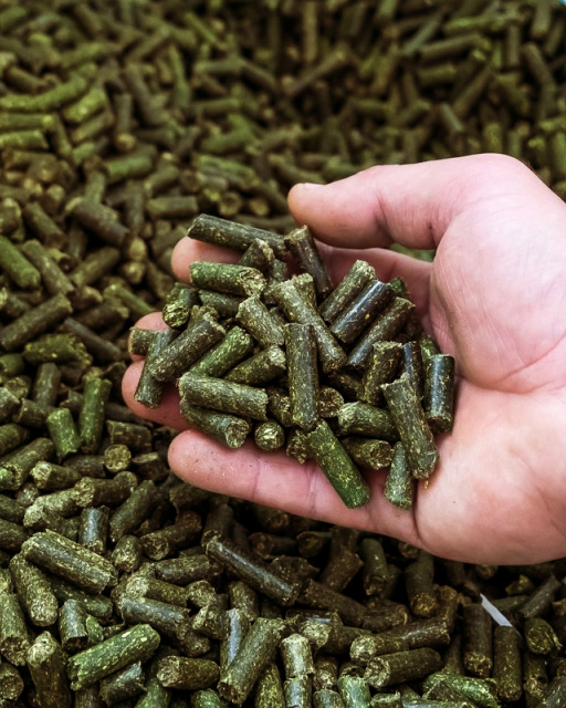 Oferujemy do sprzedaży wysokiej jakości lucernę granulowaną : Gwarantowane parametry: Zawartość wilgoci (maksymalnie): 12-14%; Zawartość białka surowego (co