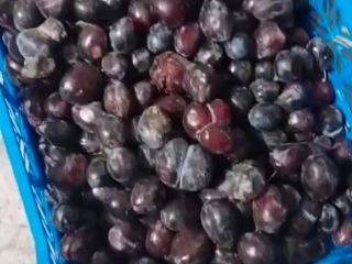 Sprzedam mrożone śliwki w workach 30 kg. Objętość 40t.