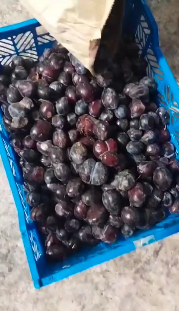 Sprzedam mrożone śliwki w workach 30 kg