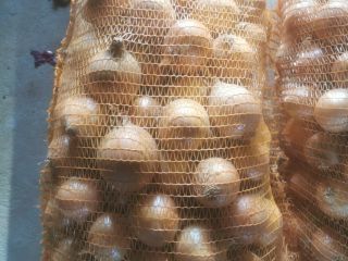 Oferujemy cebulę pochodzenia niemieckiego w pojemnikach 1-25kg i różnych