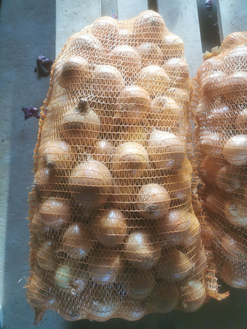 Oferujemy cebulę pochodzenia niemieckiego w pojemnikach 1-25kg i różnych rozmiarach