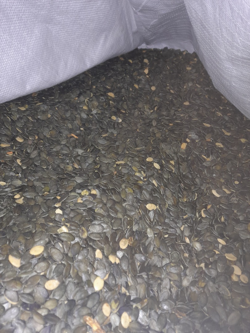 Witam Sprzedam dynie bezłuskową 2.2t
