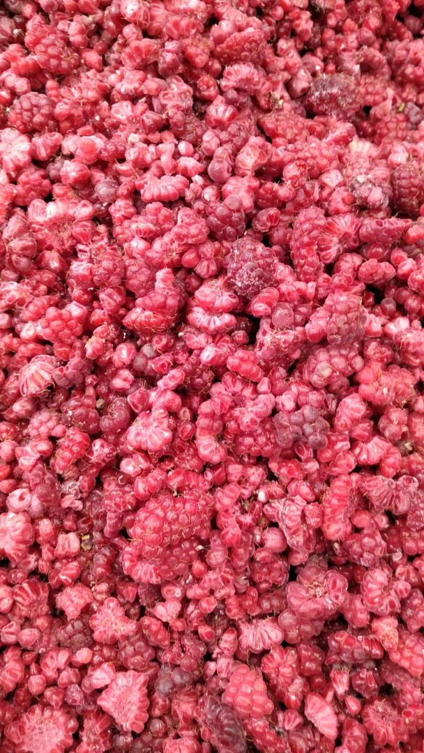 Mam do sprzedaży maliny mrożone, worek 25 kg, 2,2 EUR/kg