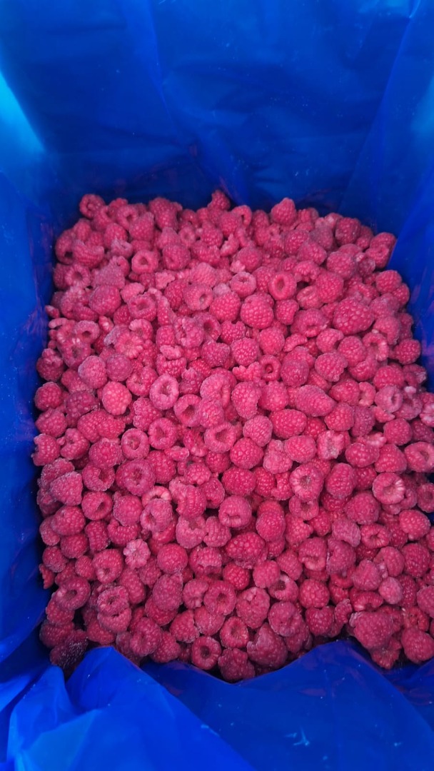 Malina mrożona 80/ 20