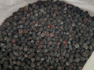 Prinus spinosa mrożony i suszony