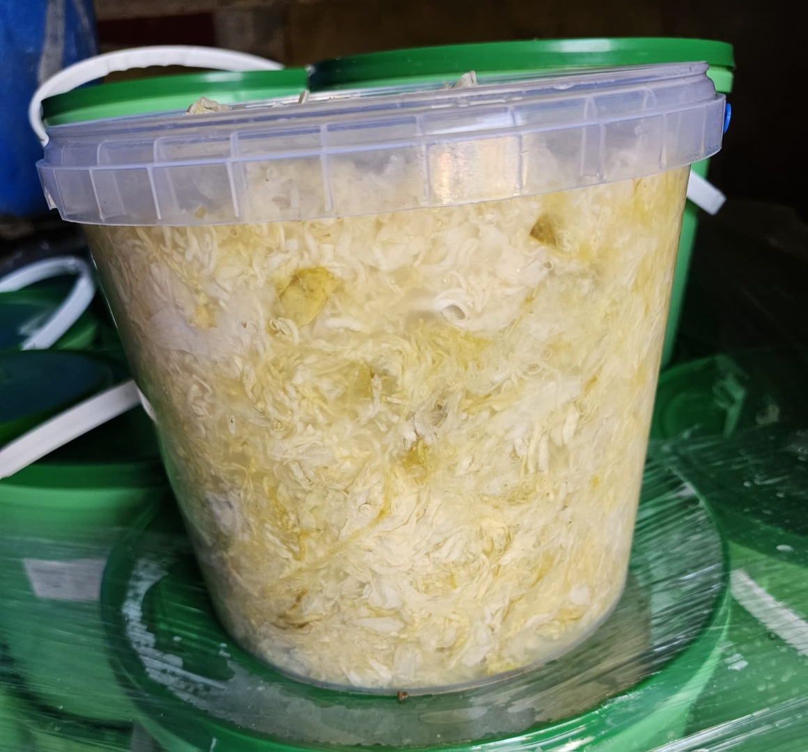 Witam jestem producentem kapusty z Charsznicy, mam na sprzedaż kapustę kiszoną, białą , szatkowaną
