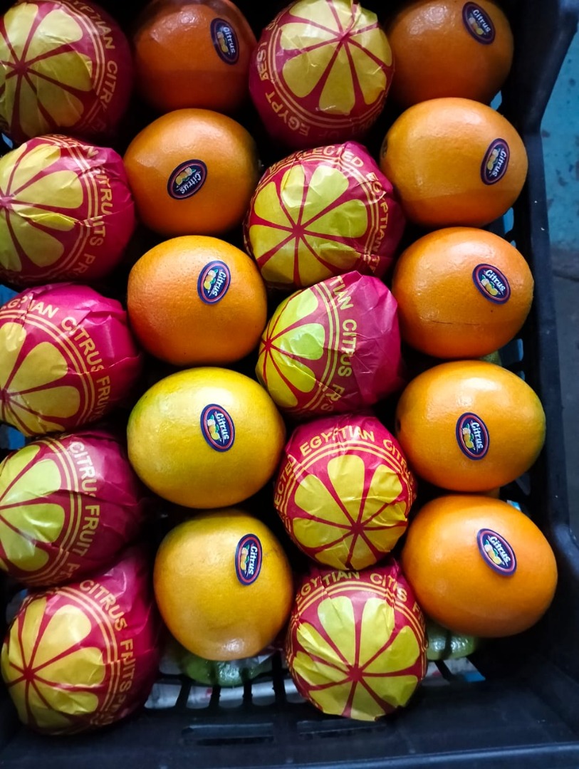 Pomarańcze Navel i Valencia Teleskopowe i z otwartym dachem, Rozmiar 36/125 Jakość premium klasy 1, myta i woskowana, dostępna również klasa 1,5 i klasa 2