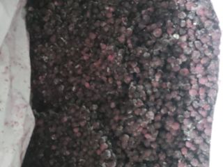 Sprzedam jagody mrożone, ilość 8000 kg, opakowanie kk 11/1