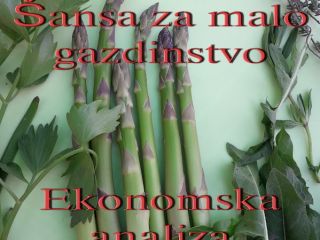 Szparagi zielone klasy ekstra, od 1 kwietnia do 1