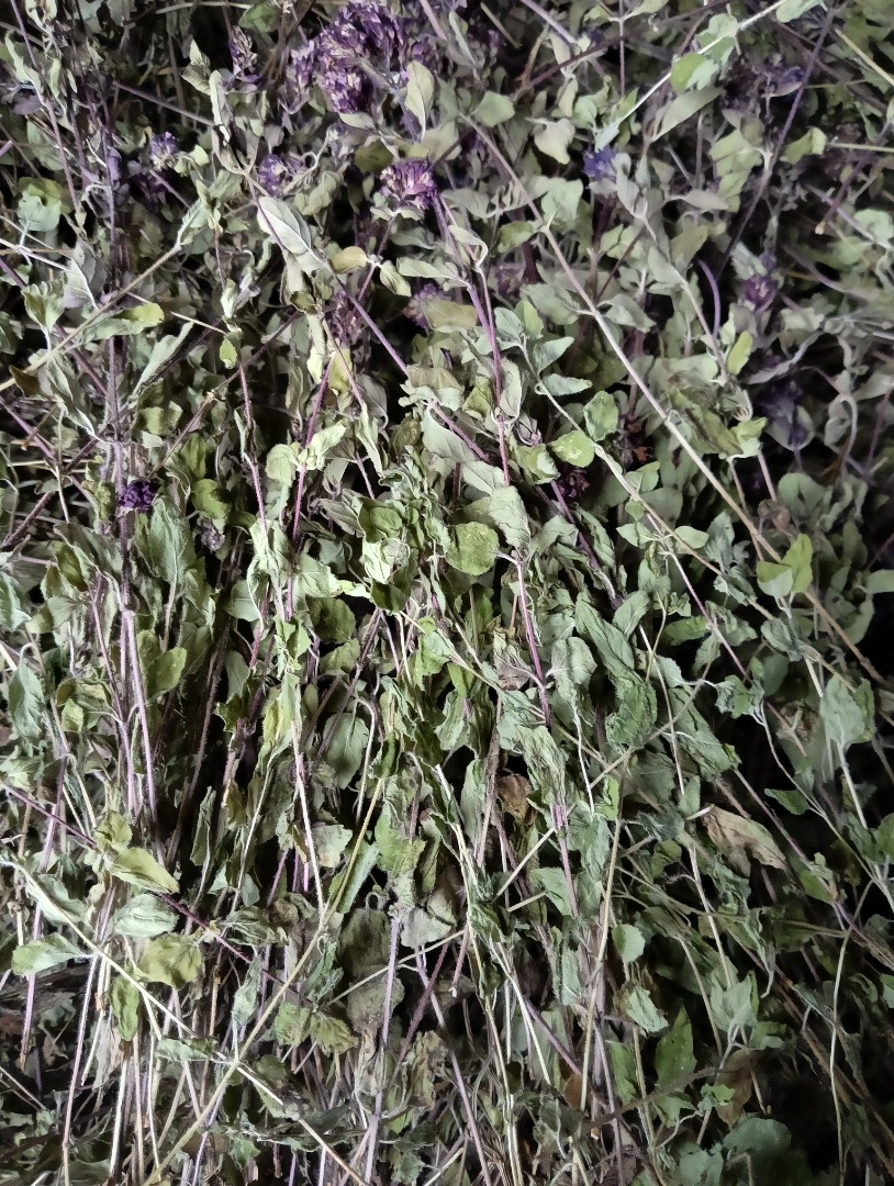 Witam oferuję państwu na sprzedaż ziele oregano suszone w suszarni pakowane w worki big bag