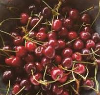 Wysokiej jakości kiwi importowane z Włoch bezpośrednio od producenta