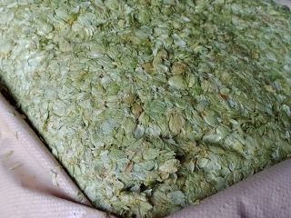 Sprzedam chmiel ,hops,( SZYSZKĘ CHMIELU) zbiór 2024r.
