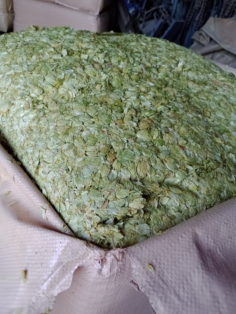 Sprzedam chmiel ,hops,( SZYSZKĘ CHMIELU) zbiór 2024r