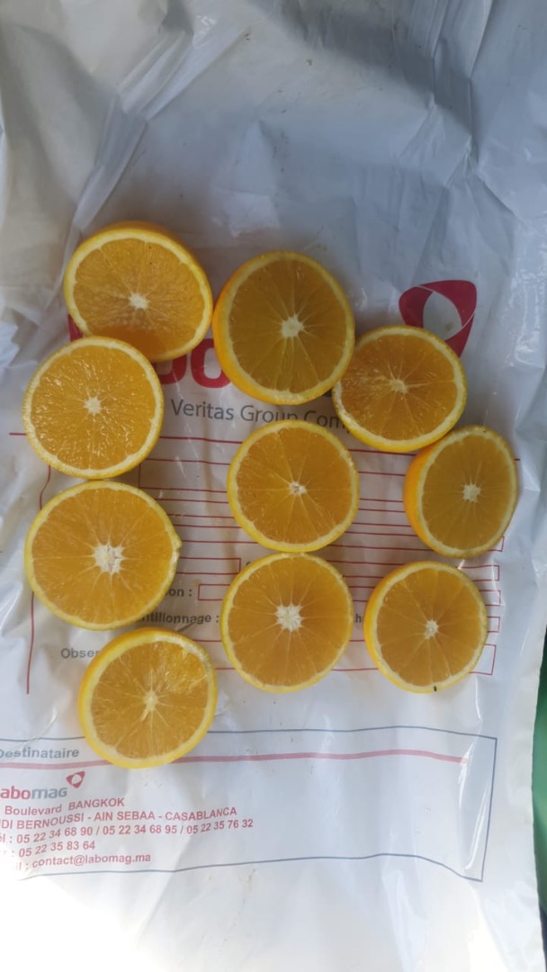 pomarańcza z maroka dostępność: odmiany navel, newhall, salustatiana i nova
