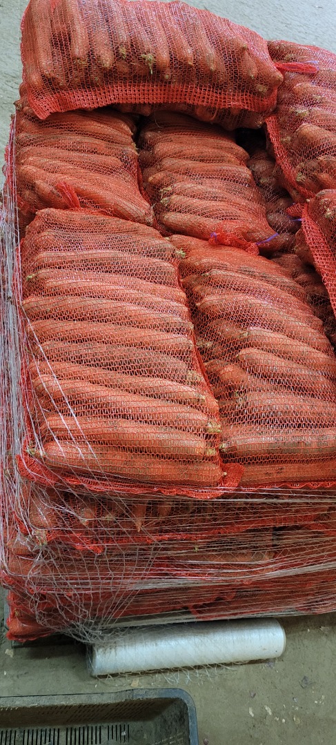 Sprzedam marchew nie myta worek 10 kg kaliber 2.5-5 cm