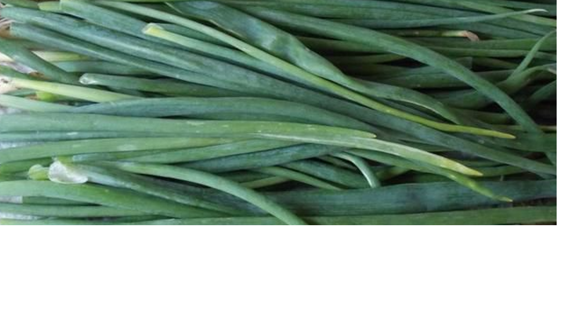 Producent szczypioru 0,88 zł za pęczek ( 30 g) Producent szczypioru , rekordowo niska cena szczypioru , produkt uprawiany w Polsce