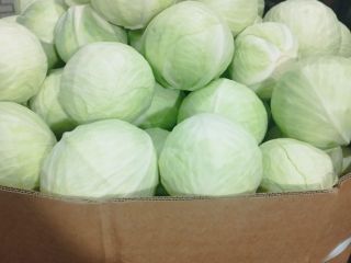 Sprzedam kapustę białą marketowa kaliber 1-4kg opakowanie karton box