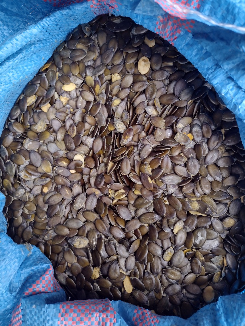 Sprzedam pestki dyni bezłupinowej 4,2t, zbiór 2024, pakowana w worki 25kg lub BigBag