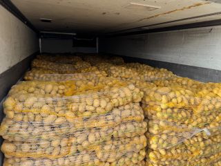 Oferujmy Ziemniaki Soraya pakowane w worki 15kg. Kaliber +45